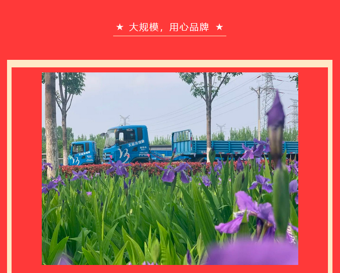【濟寧大運河駕?！恐戮磩趧诱?，小車價學大車，報名就現(xiàn)在！ (圖3)